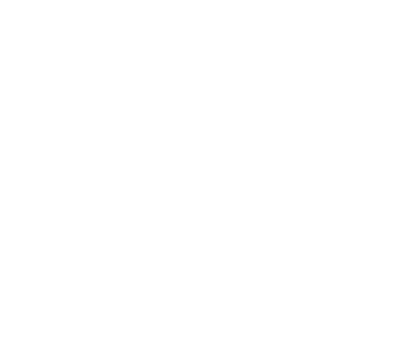 Trabers OX Logo
